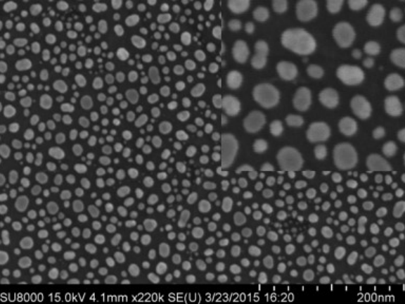 <strong>主动减震系统助力场发射电镜重获新生！</strong>